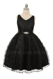 D742 Mint V Neck Lace Dress