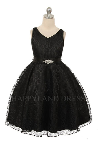 D742 Black V Neck Lace Dress