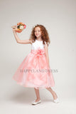D1218 Satin with Organza Dress (3 Diff. Colors)