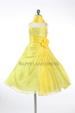 D4325 Long Organza Dress (2 Diff. Colors)