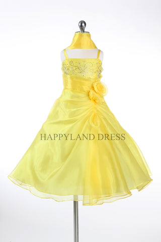 D4325 Long Organza Dress (2 Diff. Colors)