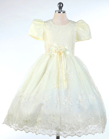 Ivory Embroidered Organza Dress D 257